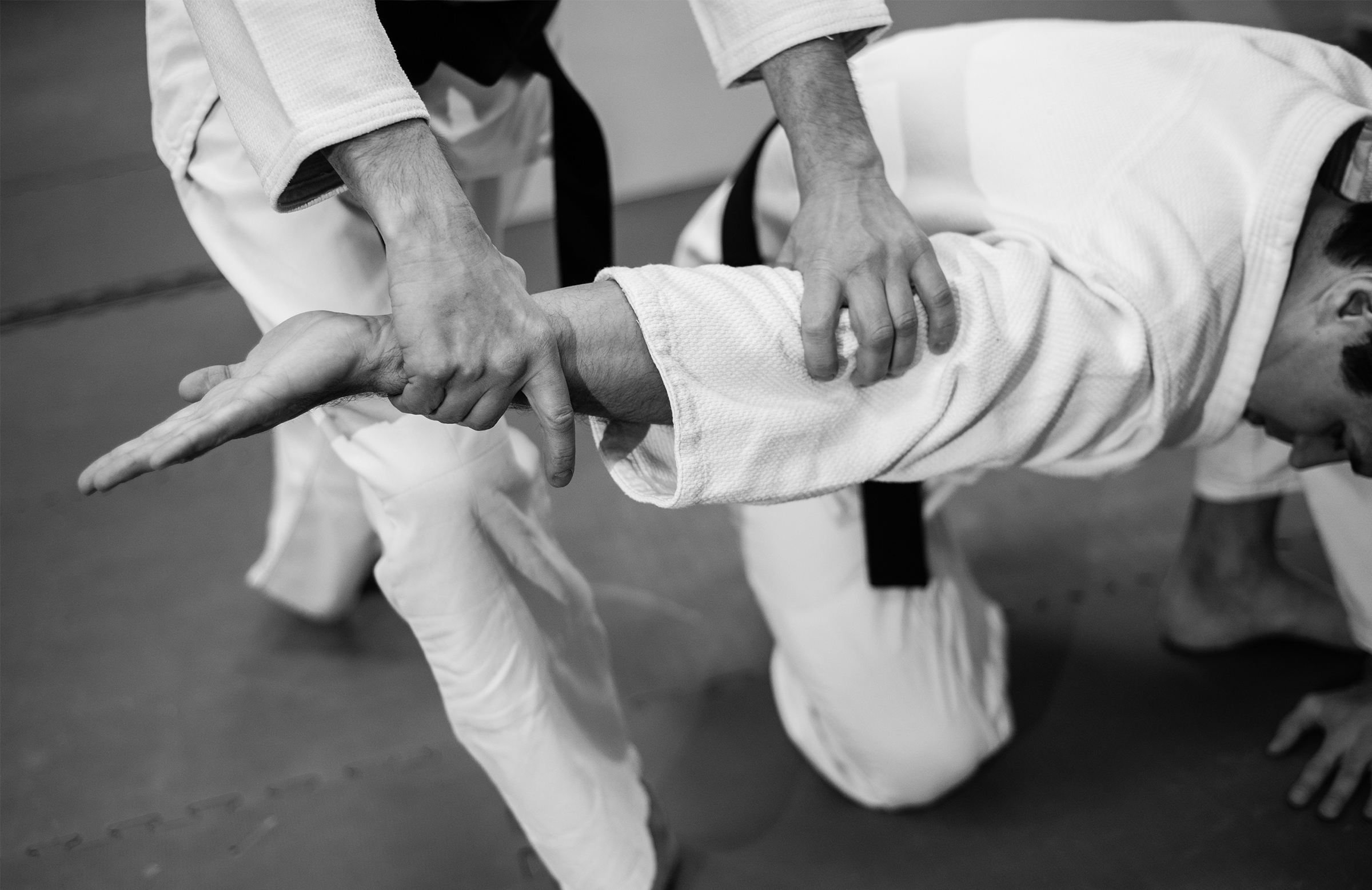 <strong>Hapkido</strong>